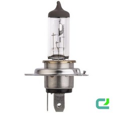 Glühlampe Fernscheinwerfer 12
