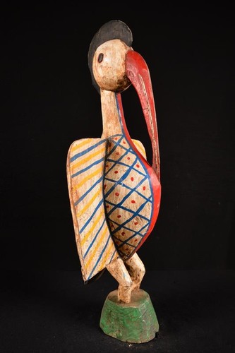 Afrikanische alte kalao - alte,