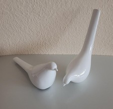 Tauben weiße - 2, tauben.