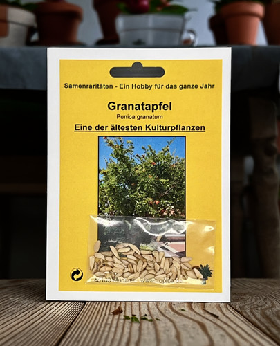 Granatapfel samen punica - granatapfel,