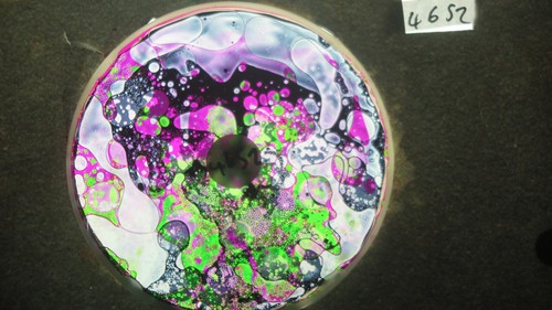Bubble vision ölrad - bubble,