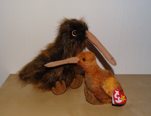 Kiwi vogel beak henne - ty,