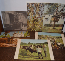 Konvolut DDR-Plakate LPG