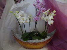 Blumenbehälter Schiff