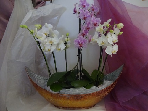 Blumenbehälter schiff - blumenbehälter,