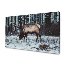 CANVAS Leinwandbilder XXL Wandbilder Kunstdruck Tiere - Kanadischer Elch Wald