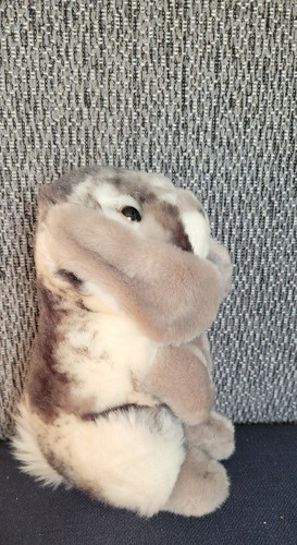 Stofftier plüsch hase widder - plüsch,