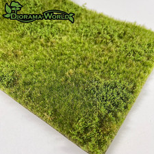 Wiese mit Unkraut, fertige