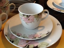 Winterling Schwarzenbach Kaffeeservice Gedecke Floral für 10 Pers & mehr NEUWARE