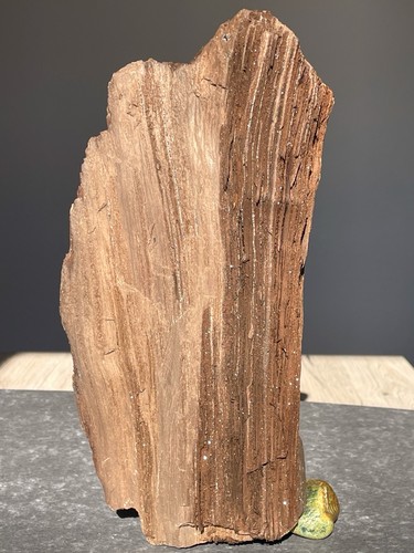 Feenholz,Esoterik,Fossiles
