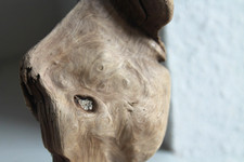Schwemmholz Treibholz Skulptur