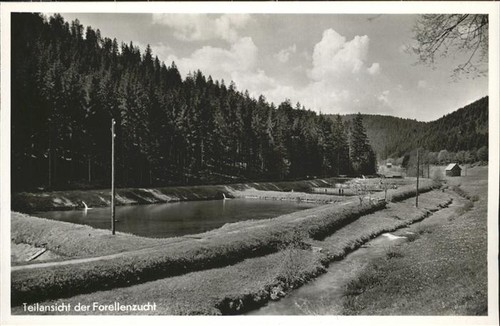 Altensteig schwarzwald - altensteig,