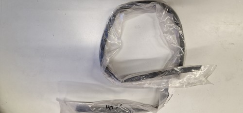 Türdichtung hinten links