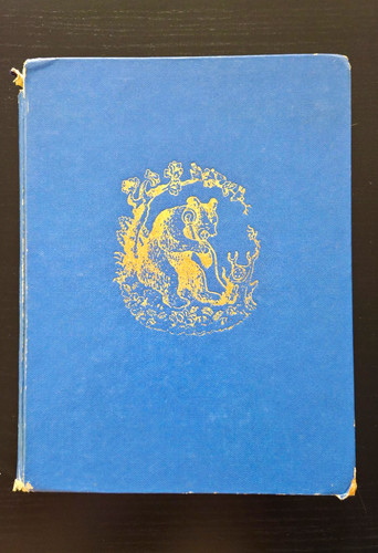Raro libro illustrato - libro,
