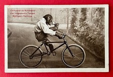 AK HAMBURG Stellingen um 1930 Carl Hagenbecks Tierpark Chimpanse Rad  ( 163503