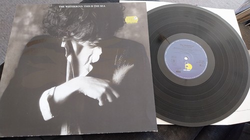 The waterboys this is - lp,