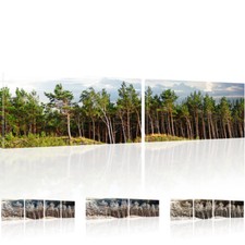 Panorama Wald Wandbild auf