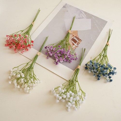 Gypsophila blumen - gypsophila,