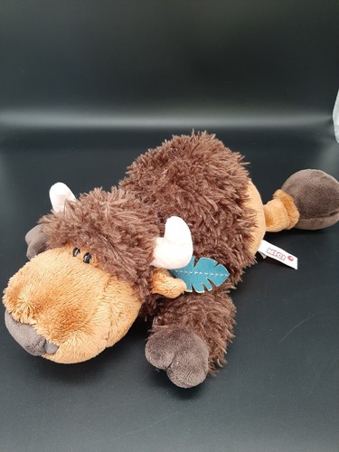 Nici bison büffel big - bison, bow