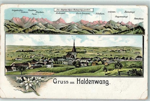 87490 w8961 haldenwang - w8961,