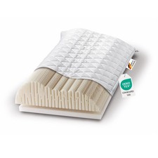 Orthopädisches Stift- Latex