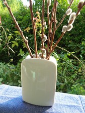 Thomas Germany Porzellan Vase