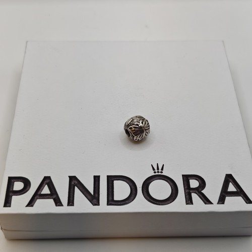 Original pandora schmetterling - original,
