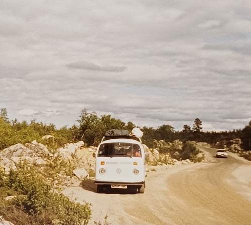 Volkswagen bulli bus - volkswagen,