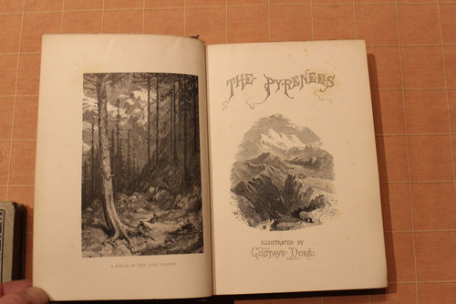 The pyrenees henry - the,