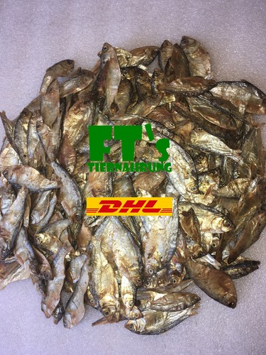 5kg fische sprotten fisch - fische,, sprotten,
