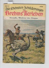 Die schönsten Schilderungen aus Brehms Tierleben 1952 Heft 13 Strauße Wächter