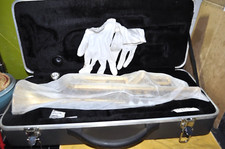 Trompete mit  Hartkoffer und Reinigungsset Neu(auch für  Anfänger geeignet )