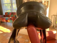 Dressur Sattel, Otto Schumacher, schwarz, zuvor auf Shagya Araber (1,62)