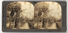 Stereo fotografie keystone - stereo-fotografie,