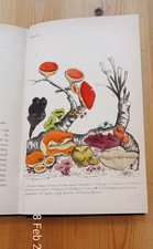 Rambles in search of