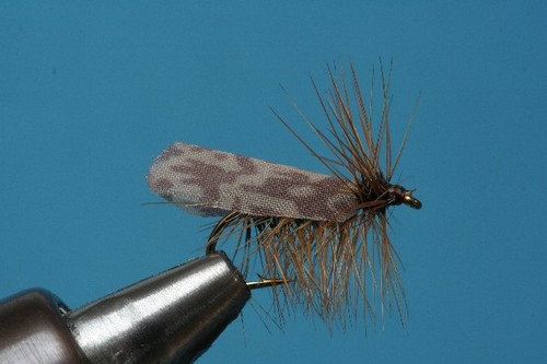Fliegentom trockenfliege - fliegentom,
