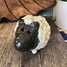 Spaghetti Sheep Bank Signed