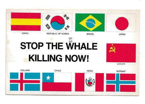 Stop the whale - the, now