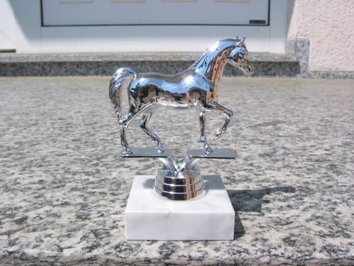 Pp410 pferd araber - pferd,