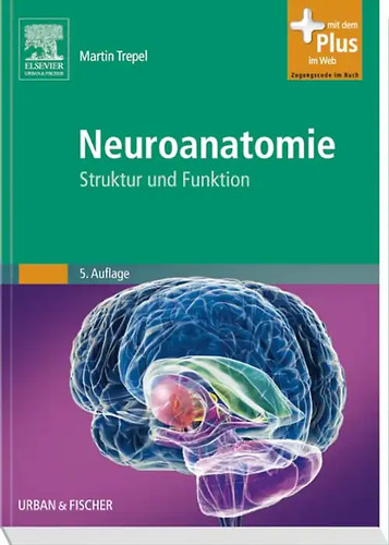 Neuroanatomie
