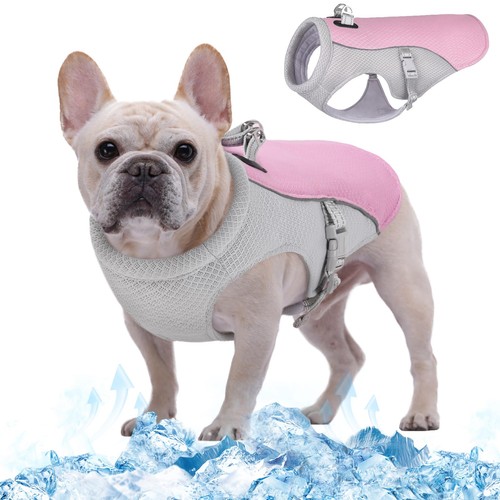 Kühlweste für hunde - kühlweste,