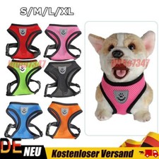 Katzengeschirr mit Leine