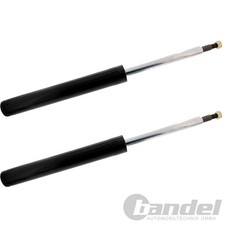 2 GASDRUCK STOßDÄMPFER VORNE