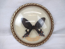 Wandbild Bild Echter Schmetterling 2. Intern. Wandertage Konken von 1980 (6RU)