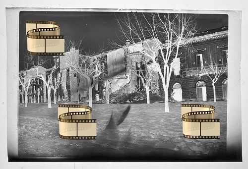 Orig negativ 8x6 - negativ,
