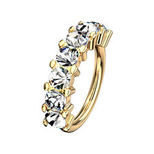 Tragus Ohr Helix Nasen Septum