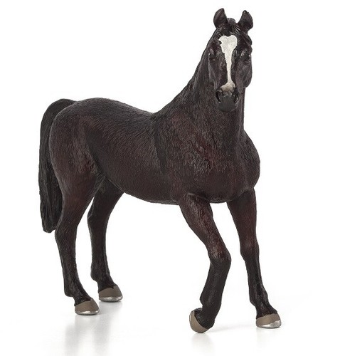 Mojo 387069 araber hengst - mojo, 13