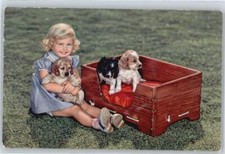 50579101 - kleine Welpen Boxer