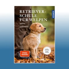 Retrieverschule für Welpen |
