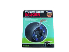 Fluginsekten Sauger Fliegen Mücken Insekten